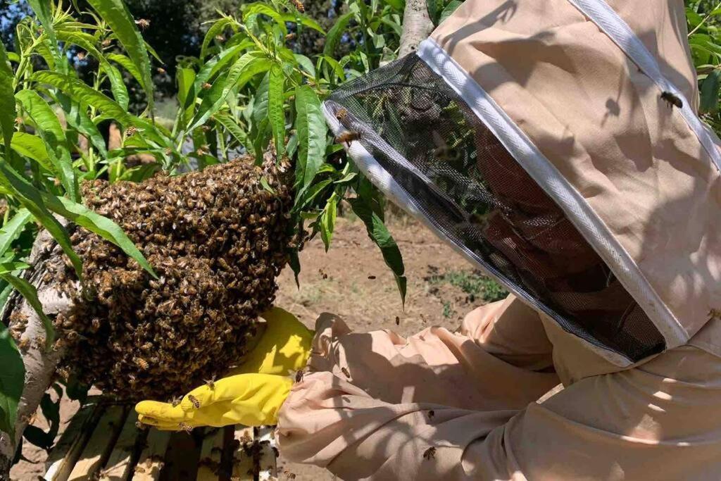 Agriturismo Il Sorbino - Appartamento Da Cocca Pian d'Alma Zewnętrze zdjęcie
