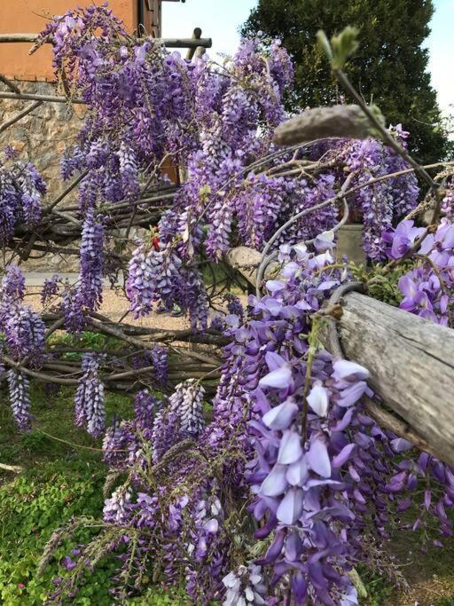 Agriturismo Il Sorbino - Appartamento Da Cocca Pian d'Alma Zewnętrze zdjęcie